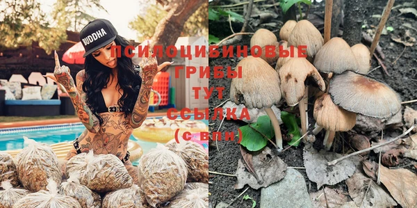 метадон Гусев