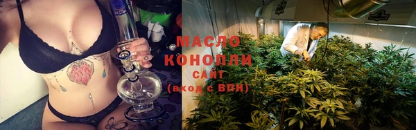 метадон Гусев
