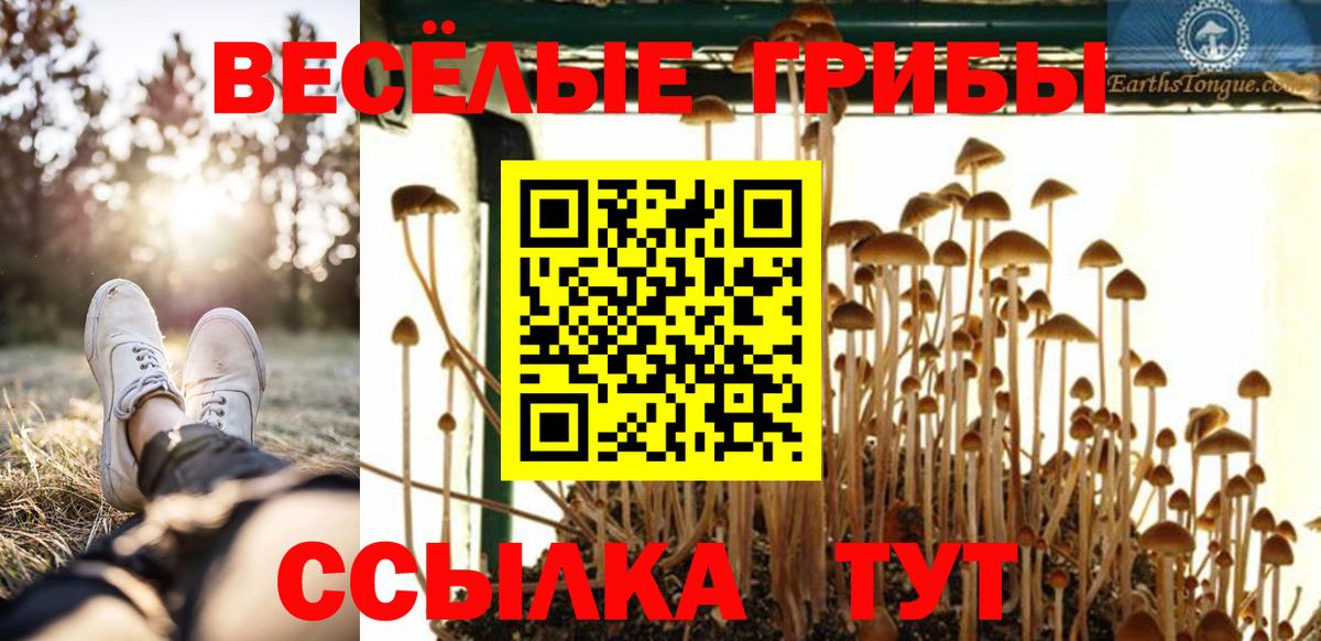 Псилоцибиновые грибы GOLDEN TEACHER  Вход с VPN  Надым 